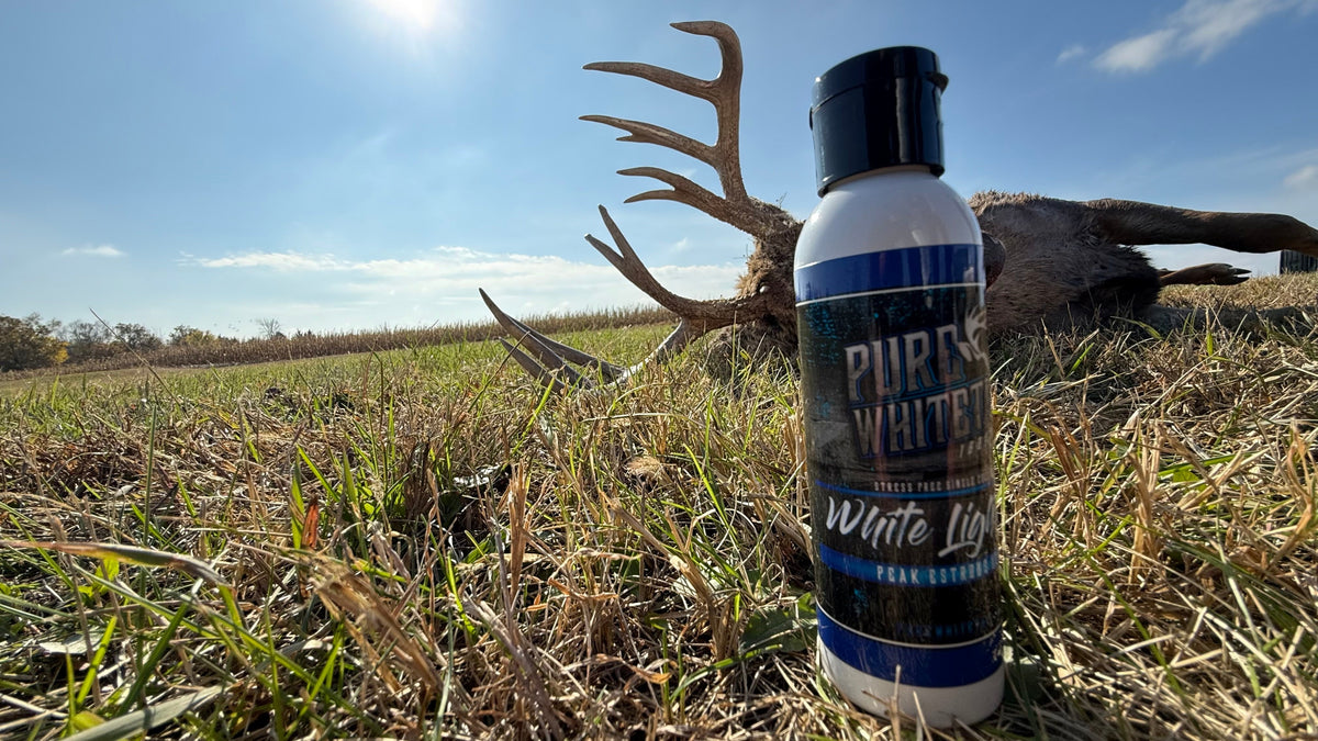 2oz White Lightning Peak Estrous | Premium Doe Estrous Scent for Serious Whitetail Hunters