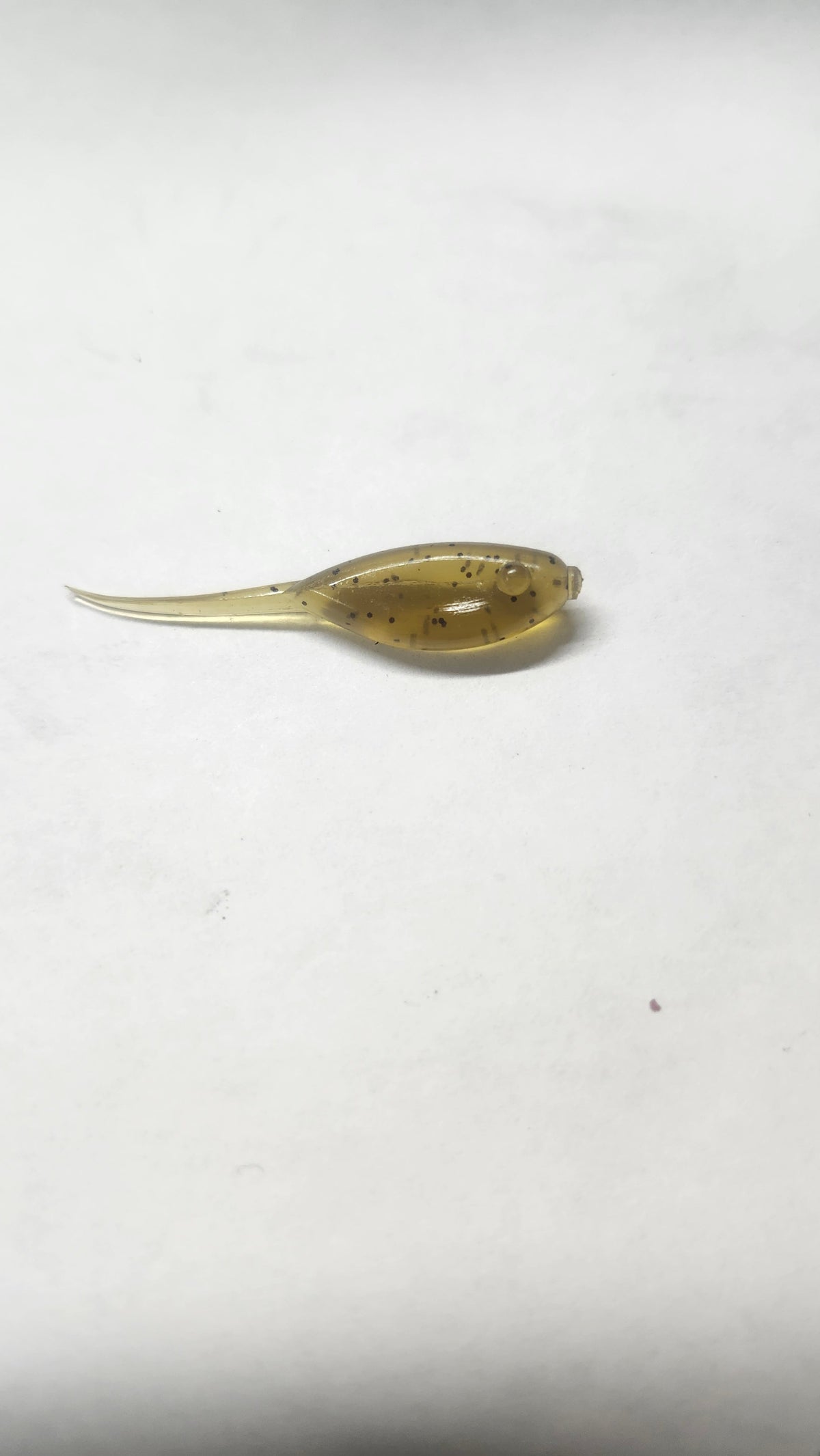 Little Minnow 1.5 Inch