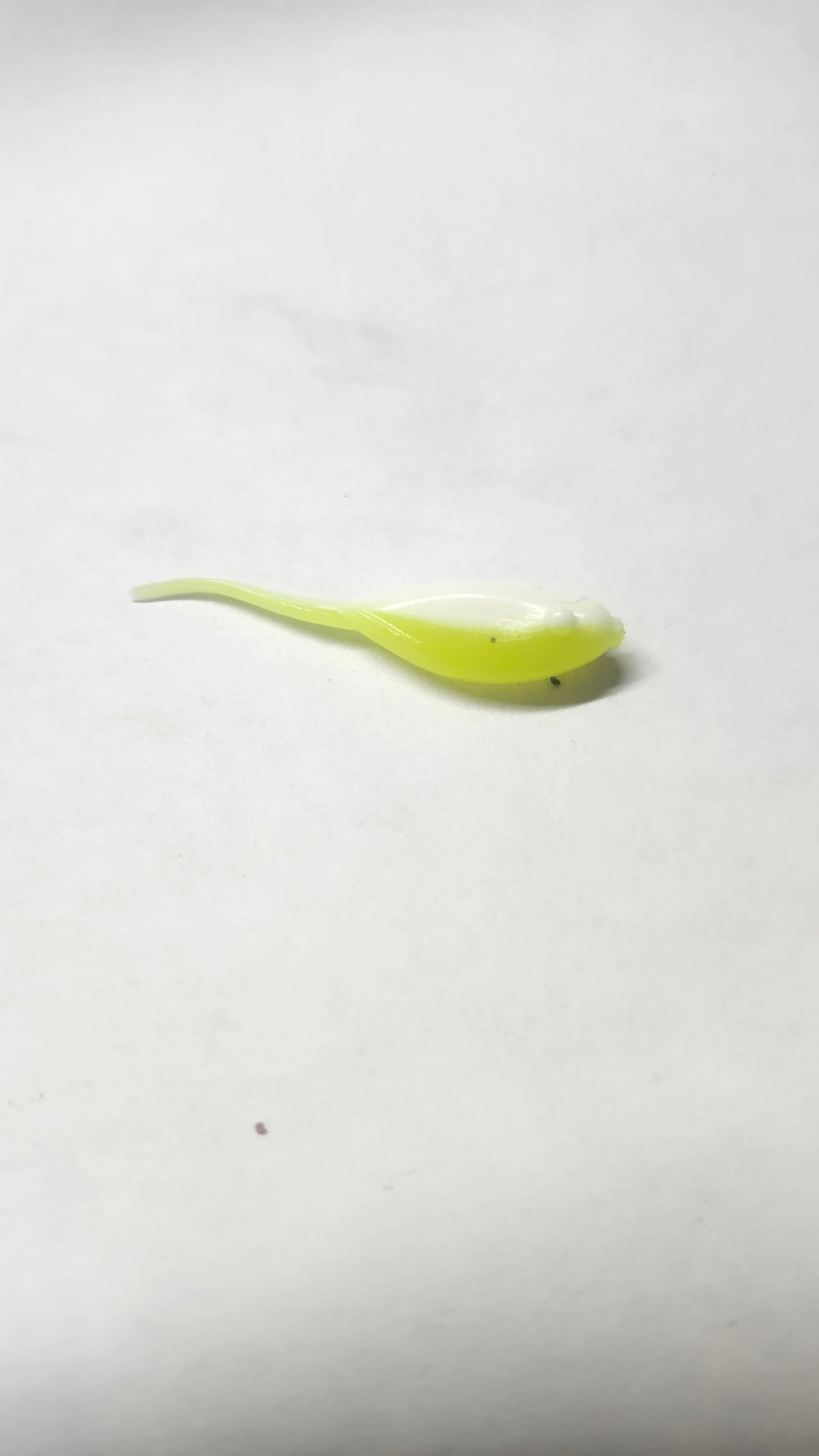 Little Minnow 1.5 Inch